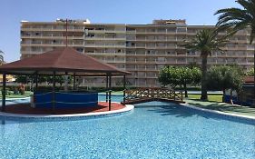 Penismar 50